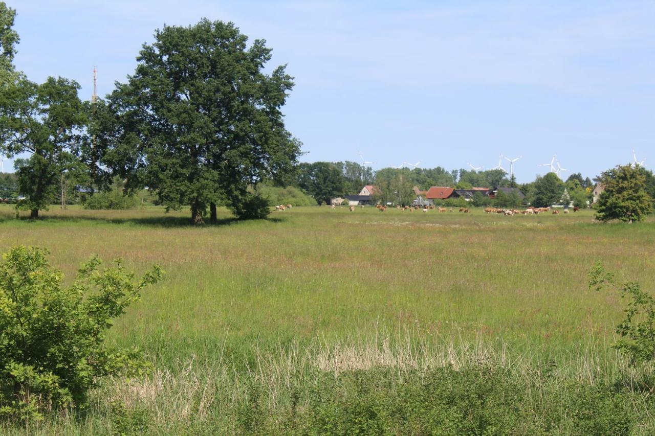 Spreewald Ferienwohnung Luebben Lübben Exterior foto